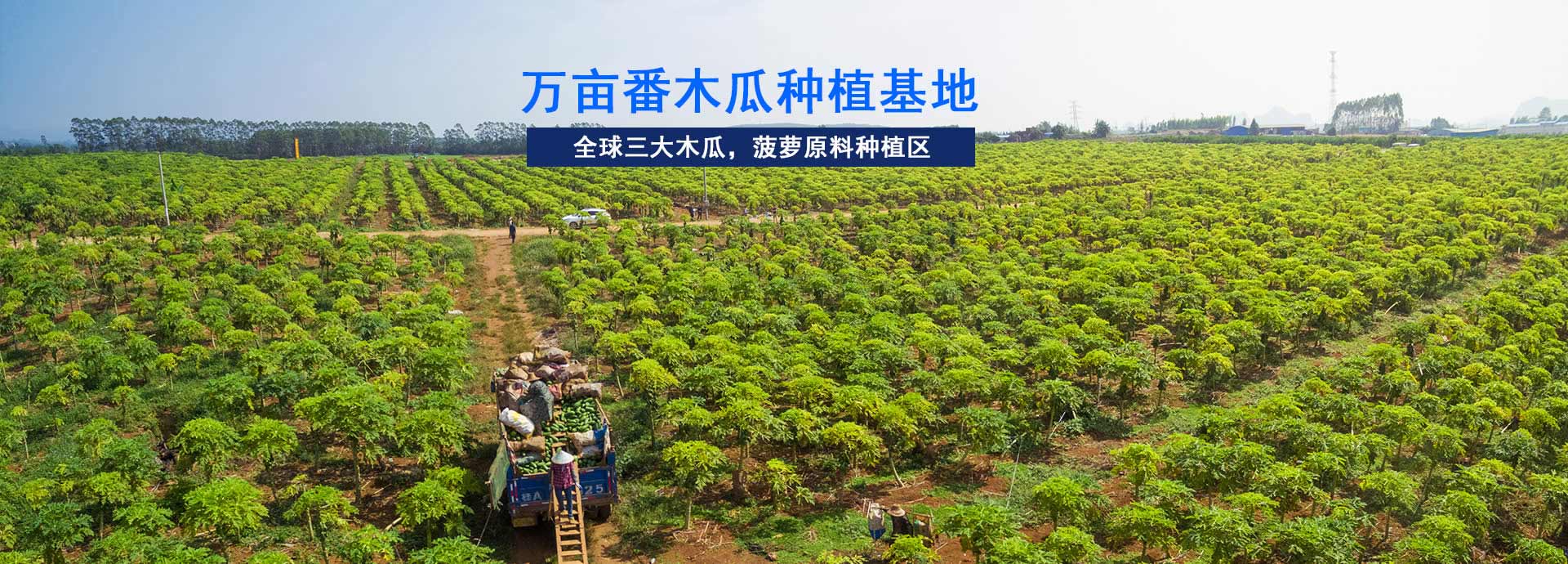東恒華道-工業園占地5畝,生產車間10000㎡ 東恒華道-工業園占地5畝,生產車間10000㎡